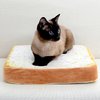 Toast Cat - Picture Box