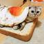 Egg and Toast Cat - Picture Box