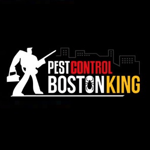 Pest Control Boston King Pest Control Boston King