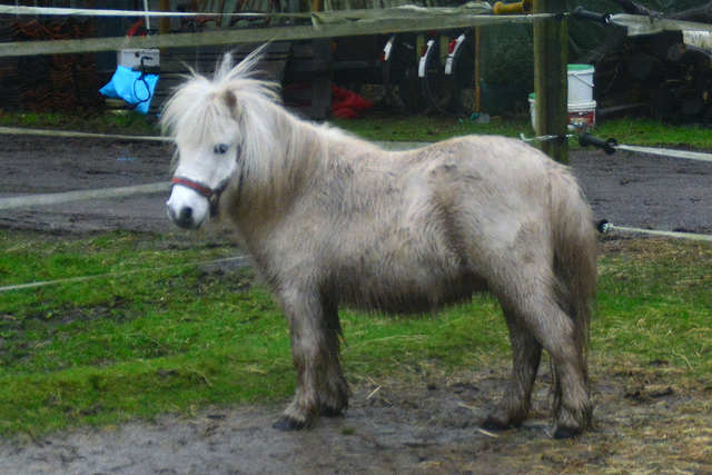 18 balingehofforum