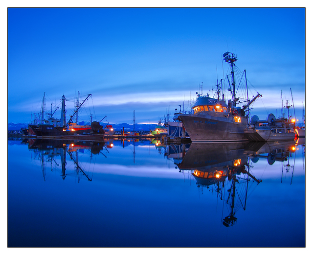 Comox Docks 2018 7 Comox Valley