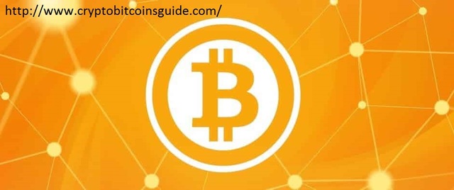 bitcoin9 Crypto Wealth Review - Online Income Resources