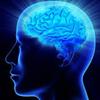 Brain Plus IQ Chile - Picture Box