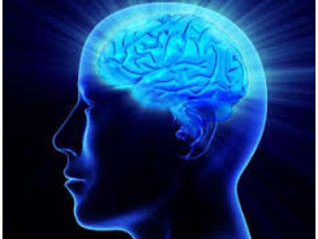 Brain Plus IQ Chile Picture Box