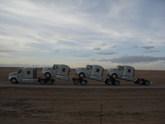 CIMG8505 Trucks