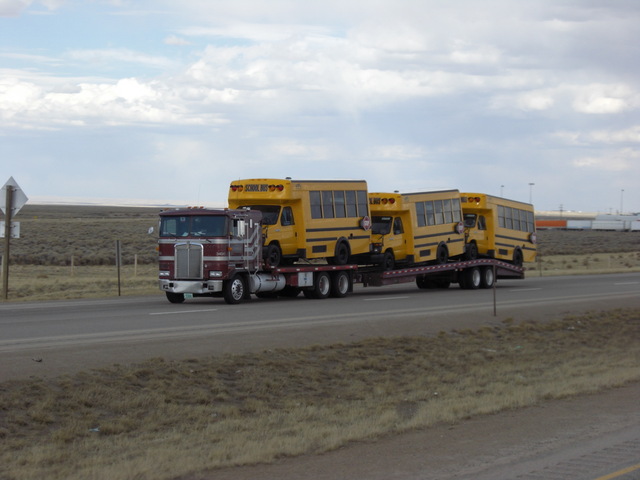 CIMG8463 Trucks