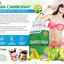 garcinia-cambogia-body-blas... - Garcinia Body Blast