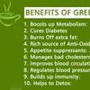 Organic India Green Coffee : Convert glucose and fat into energy level