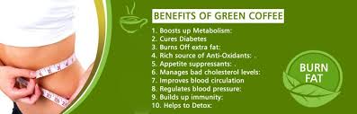 images Organic India Green Coffee : Convert glucose and fat into energy level