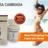 Garcinia Cambogia Forte :  Reduce your Belly Fat