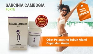 69482119 ee05bf26-70f4-4dff-8521-7e689cd1e1b8 600  Garcinia Cambogia Forte :  Reduce your Belly Fat