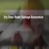 Dry Ones Water Damage Resto... - Dry Ones Water Damage Resto...