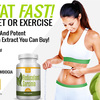 Reducelant : Reduce Your Belly Fat Easily & Naturally