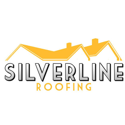 Silverline Roofing Ltd Edmo... - Anonymous