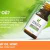 Zenista-Hemp-Oil-Buy - https://healthhalt