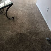 Green Carpet Cleaning Orange County Green Carpet Cleaning Orange County