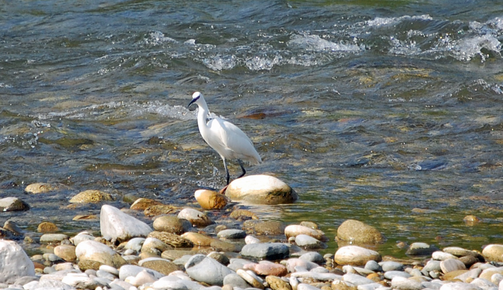 DSC 0014 modificato-1 - 