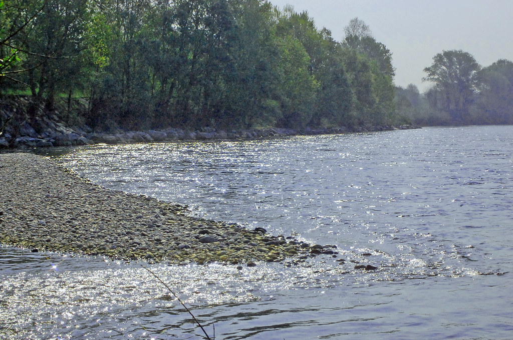 DSC 0008 modificato-1 - 