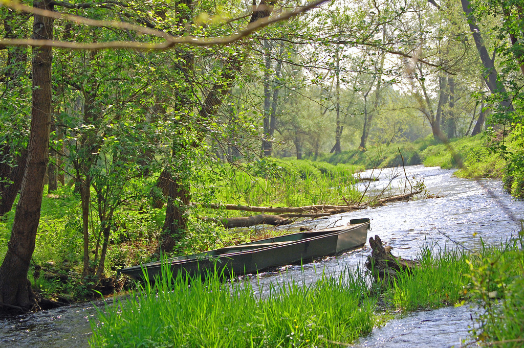 DSC 0021 modificato-1 - 