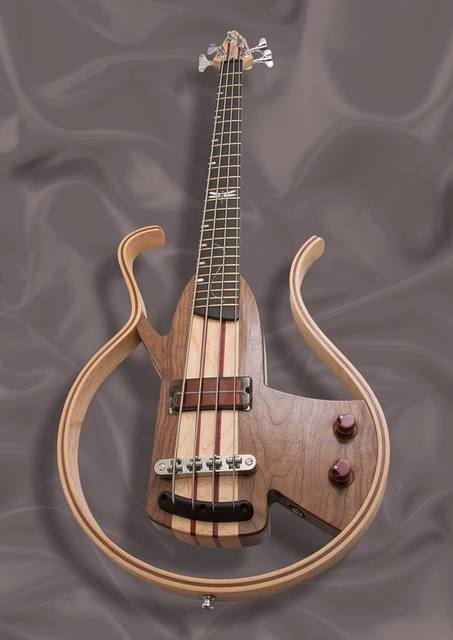 Dragonfly bass with a 4 string transparent q-tuner Picture Box