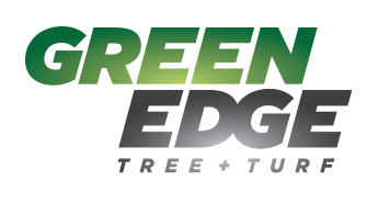 Matawan lawn specialist Green Edge Tree + Turf