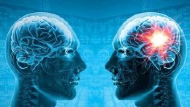 sg-11-brain-booster-improve-memory-and-mood-benefi https://healthhaltusa.wordpress.com/2018/04/14/sg-11-brain/