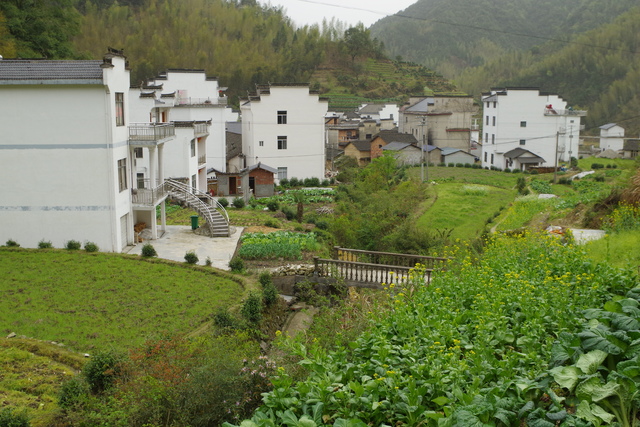  Zhejiang (æµ™æ±Ÿ)