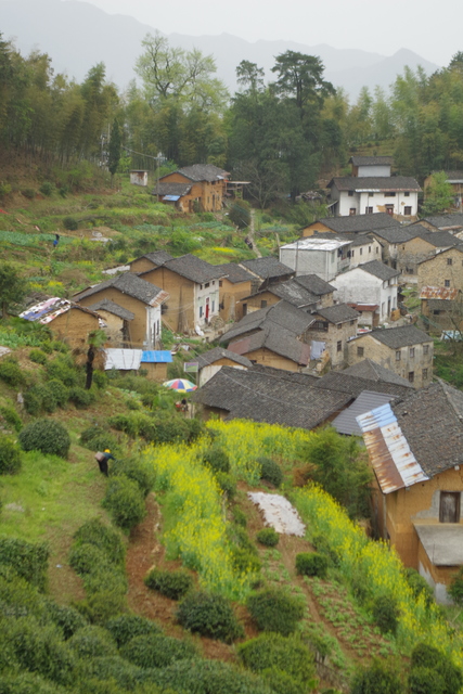  Zhejiang (æµ™æ±Ÿ)