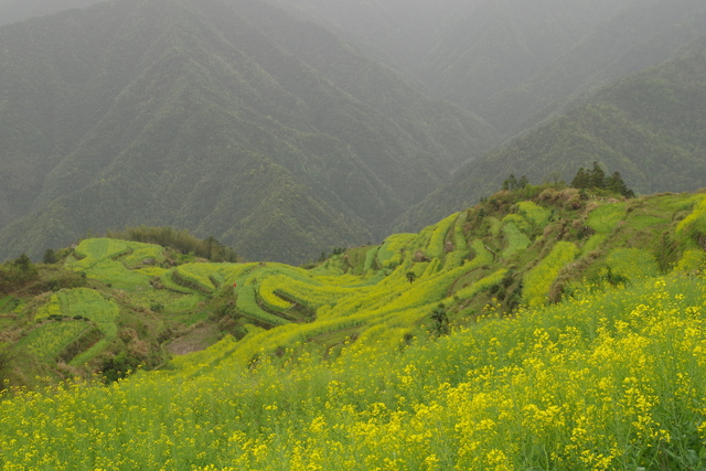  Zhejiang (æµ™æ±Ÿ)