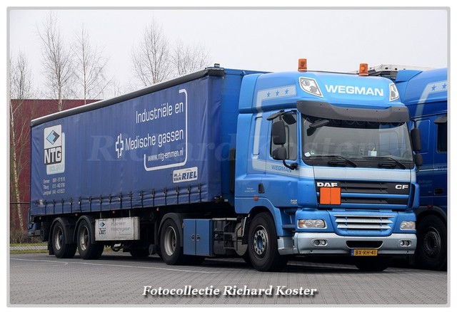 Wegman BX-RH-41 (1)-BorderMaker Richard