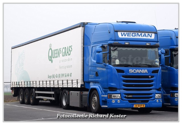 Wegman 14-BHP-8 (1)-BorderMaker Richard