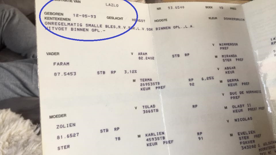 31880557 2104935602868900 8186182016631308288 n - 