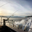 marine adventures sunshine ... - OTB Charters