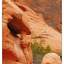 Valley of Fire 06 - Las Vegas