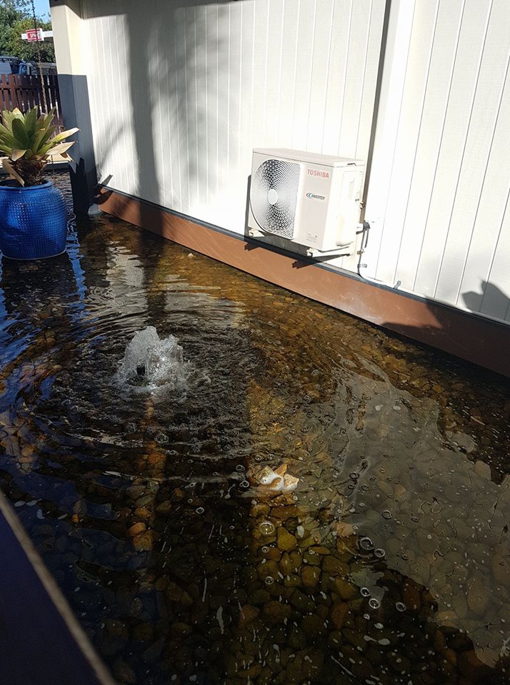 31914275 2037156519647686 6064486765320732672 n - 