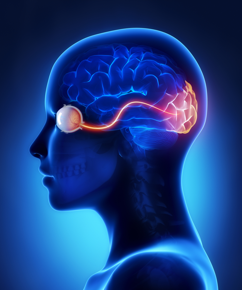 Intelligence RX4 https://maximizedmuscleideas.com/intelligence-rx/