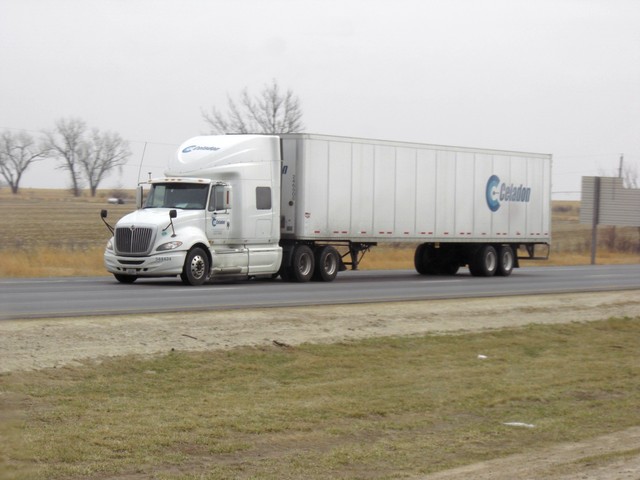CIMG8579 Trucks