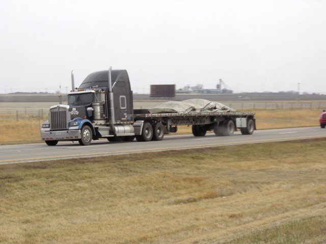 CIMG8591 Trucks