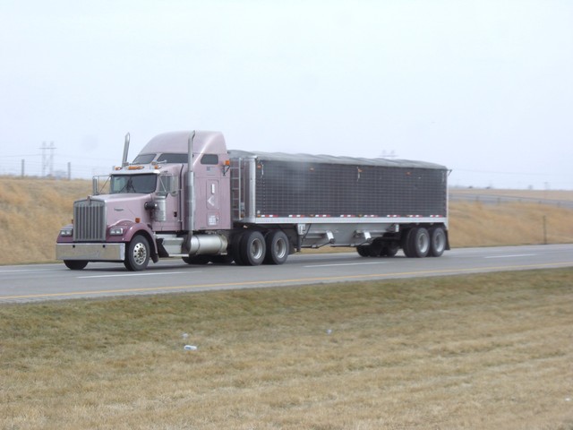 CIMG8601 Trucks