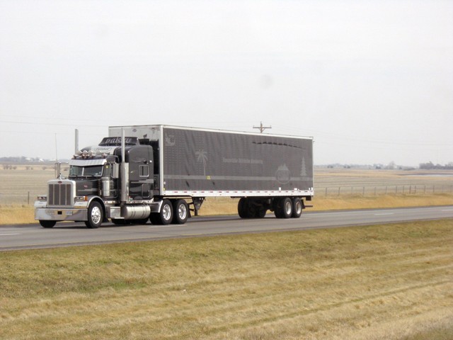 CIMG8653 Trucks