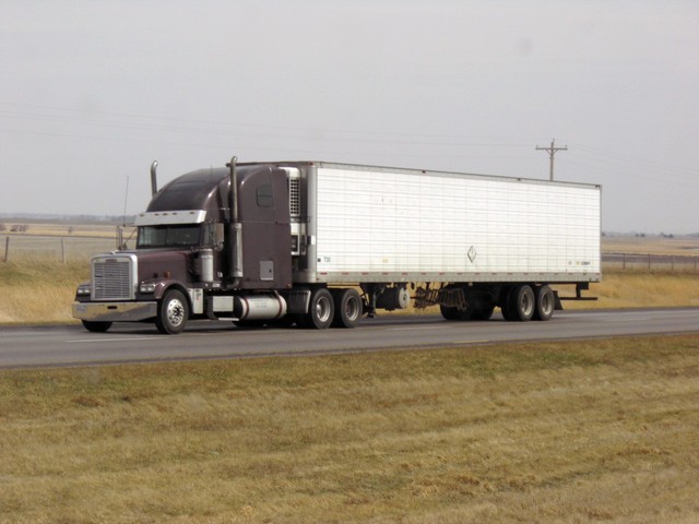CIMG8655 Trucks