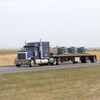 CIMG8696 - Trucks