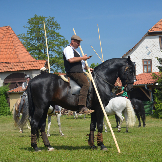 lusitano1 balingehofforum