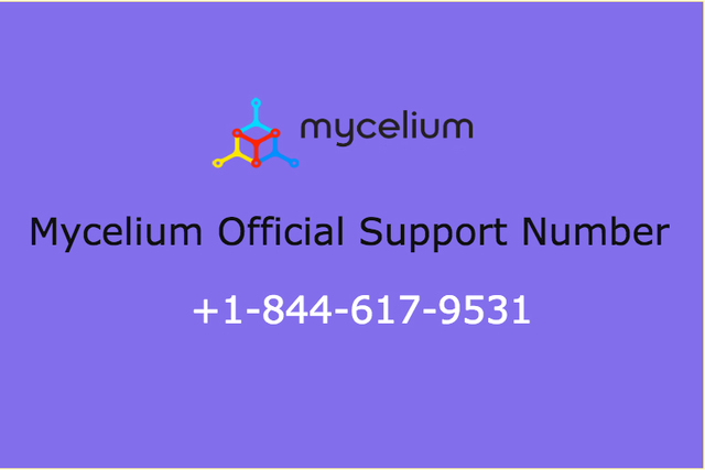 mycelium-support-number-18446179531 Picture Box