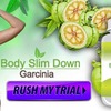 http://junivive.fr/body-slim-down-garcinia/