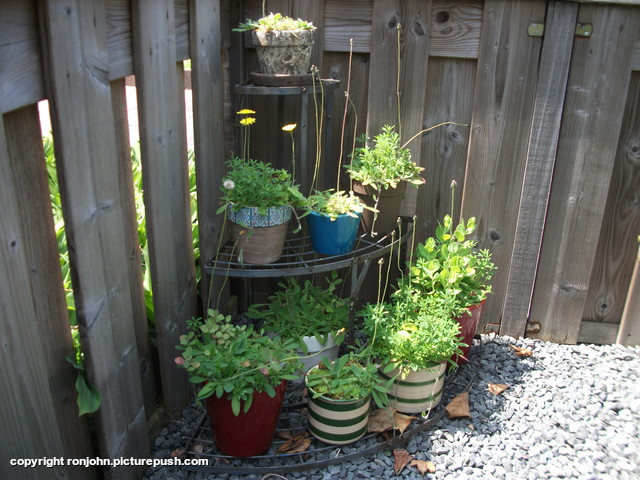 EtagÃ¨re voortuin 07-06-18 In de tuin 2018