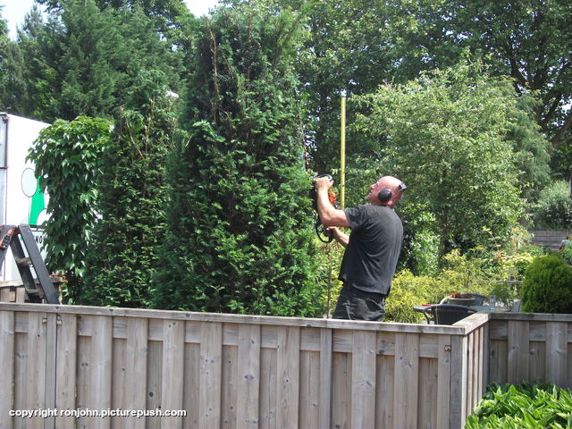 Tuin scheerbeurt achter en voor 07-06-18 (37) In de tuin 2018