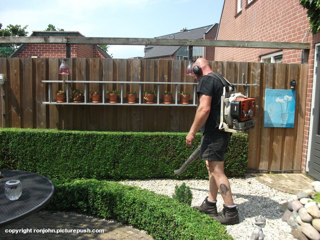 Tuin scheerbeurt achter en voor 07-06-18 (23) In de tuin 2018