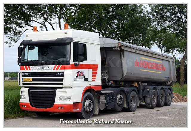 Hondsrug  de BX-XR-43 (1)-BorderMaker Richard