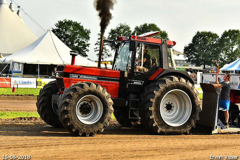 15-06-2018 Renswoude 024-BorderMaker 15-06-2018 Renswoude